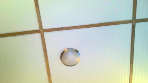 bodacioustits online show from 2, 11, 2025