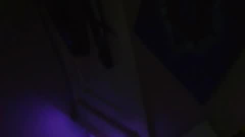 Beau and joe step bros hanging out online show from 19, 11, 2025