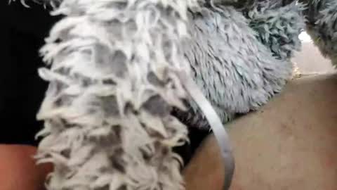 Bomberto online show from 10, 2, 2025