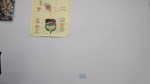 Snapshot of boner_steve chatting on 14, 9, 2025 Boner Steve online show from 14, 9, 2025