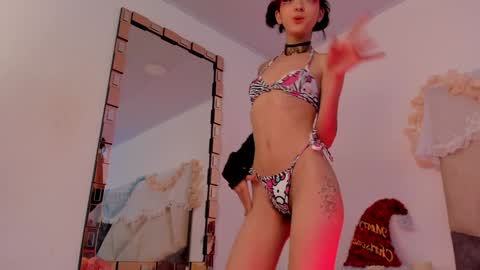   online show from 13, 12, 2024