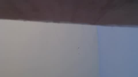 Bonnie online show from 19, 2, 2026