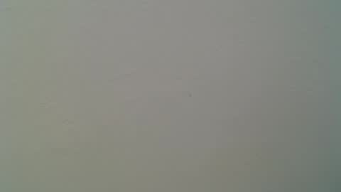 Bonnie online show from 23, 2, 2026