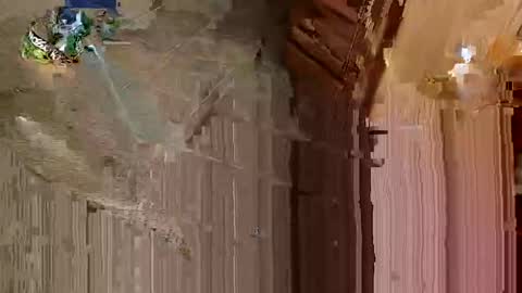 Dallasdoesitbetter online show from 26, 2, 2025