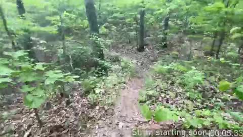 Booker Baxton online show from 9, 10, 2025