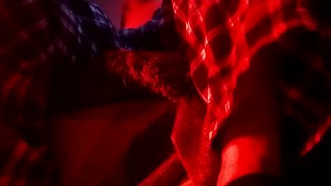 boredaf6678 online show from 1, 2, 2025