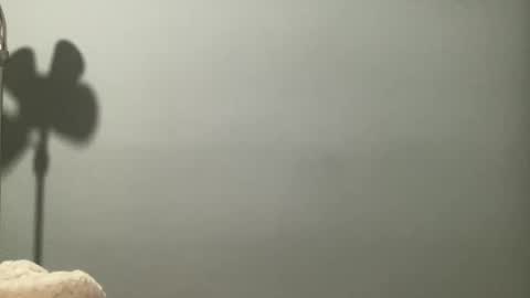 Snapshot of boselythornton1 chatting on 29, 3, 2026 boselythornton1 online show from 29, 3, 2026