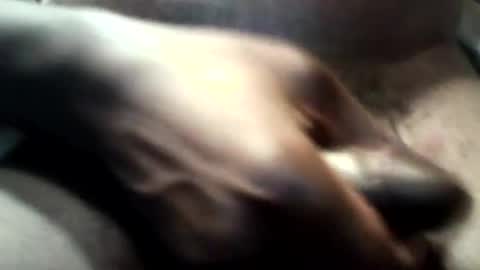 Snapshot of botofogo chatting on 31, 10, 2025 botofogo online show from 31, 10, 2025