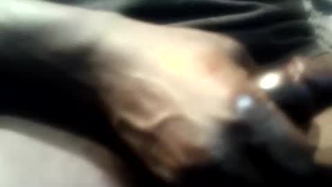 Snapshot of botofogo chatting on 1, 12, 2025 botofogo online show from 1, 12, 2025