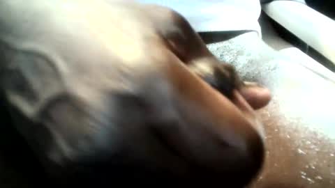 Snapshot of botofogo chatting on 19, 1, 2026 botofogo online show from 19, 1, 2026