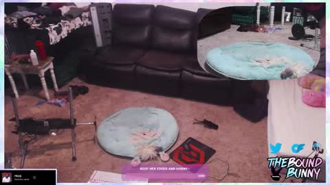 TheBoundBunny online show from 7, 3, 2026