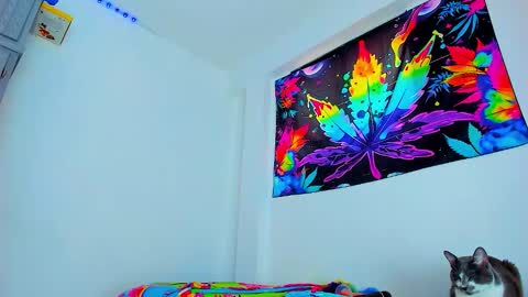 Edward ftm trans queerslave online show from 3, 2, 2026