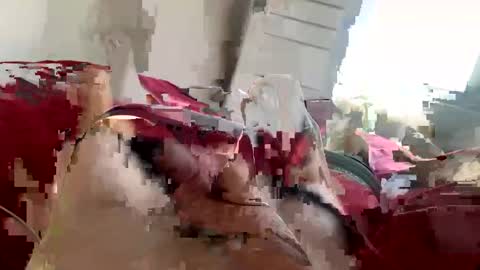 brad2518181 online show from 21, 2, 2025