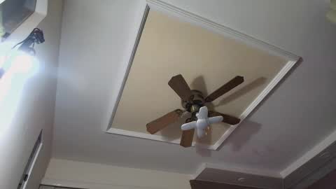 bradkith27 online show from 26, 11, 2025