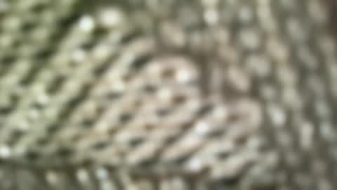 brandonconrad online show from 7, 2, 2026