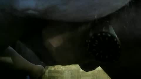 bravermann1 online show from 11, 11, 2025