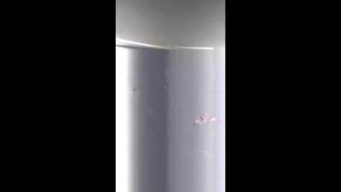 Snapshot of breatheoffreshpussy chatting on 23, 3, 2026 BeautifulDisasterxxx online show from 23, 3, 2026