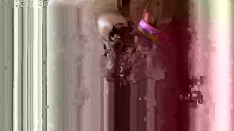 Snapshot of brewfan65 chatting on 24, 10, 2025 brewfan65 online show from 24, 10, 2025