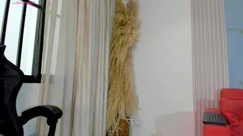    online show from 8, 10, 2025