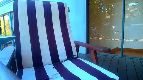 Snapshot of bridie3079 chatting on 20, 2, 2026 Fun Monster online show from 20, 2, 2026