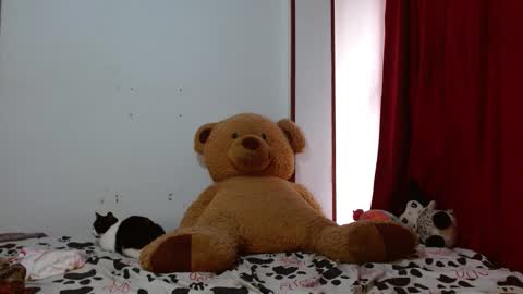 maru miaw   Please help me to reach 100 thumbs up online show from 12, 11, 2025