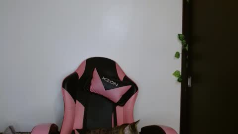 Snapshot of brittany_bubbles chatting on 20, 2, 2026 maru miaw Please help me to reach 100 thumbs up online show from 20, 2, 2026