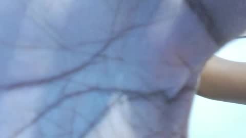 brownguy2505 online show from 19, 1, 2026