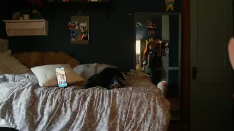 brunettebaby040 online show from 24, 10, 2025