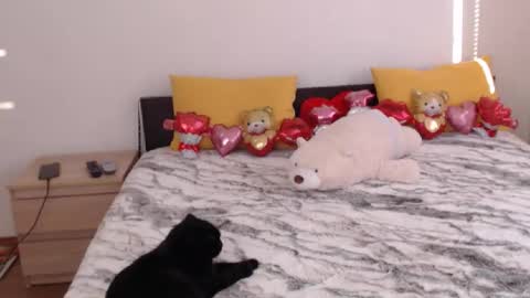 Ellis online show from 3, 2, 2026