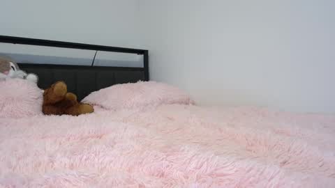 Queen Lola XXX online show from 15, 3, 2026