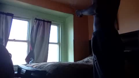 Snapshot of buddylovex chatting on 4, 11, 2025 buddylovex online show from 4, 11, 2025