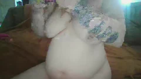 Kitty online show from 7, 3, 2025