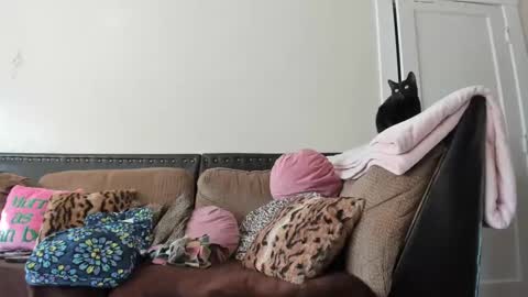 Snapshot of buffybarloe chatting on 2, 12, 2024 Buffy online show from 2, 12, 2024