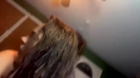 Snapshot of bugnbabs chatting on 28, 11, 2025 Yourtrippyhippy online show from 28, 11, 2025