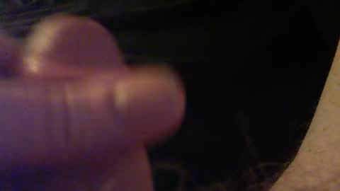 bullemoe online show from 12, 2, 2026