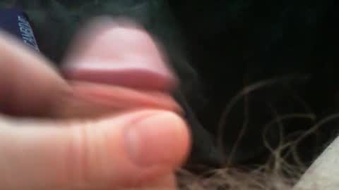 bullemoe online show from 6, 3, 2026