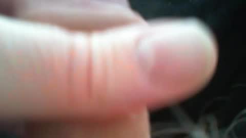 bullemoe online show from 9, 3, 2026