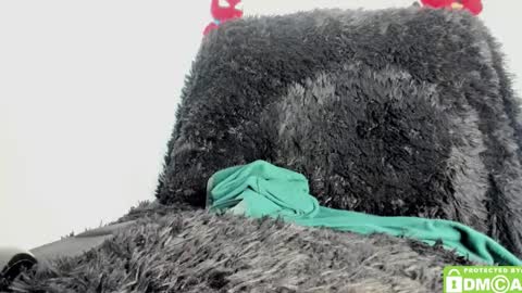 Snapshot of bumblubee chatting on 18, 12, 2024 Tonny online show from 18, 12, 2024