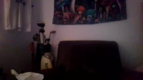 bumlover4567 online show from 19, 12, 2024