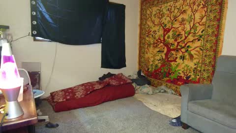 Shane online show from 16, 11, 2025