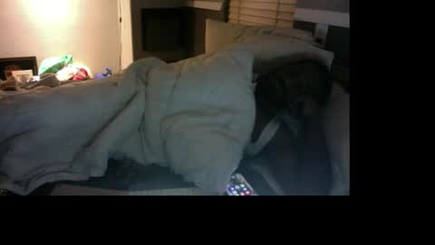 Bungalow Entertainment online show from 17, 12, 2025