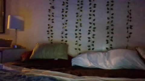 Bunny online show from 6, 11, 2025