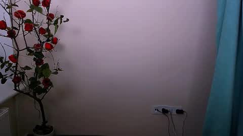 Snapshot of bunnybloom_ chatting on 21, 10, 2025 Ariel online show from 21, 10, 2025