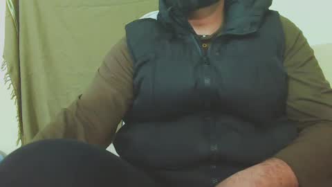 Hairy Arabian online show from 12, 12, 2024