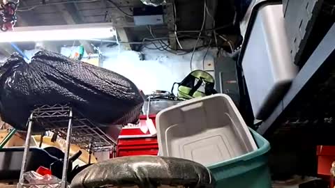 Snapshot of bushdoctor1 chatting on 10, 9, 2025 bushdoctor1 online show from 10, 9, 2025