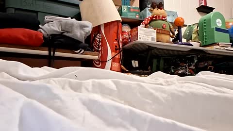 Snapshot of bushdoctor1 chatting on 23, 9, 2025 bushdoctor1 online show from 23, 9, 2025