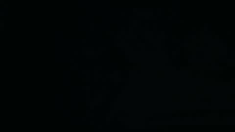 bustin hard sense 01 online show from 9, 2, 2025