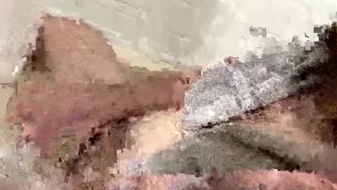 buzzed_gaming online show from 17, 2, 2025