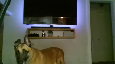 bwc44u online show from 2, 10, 2025