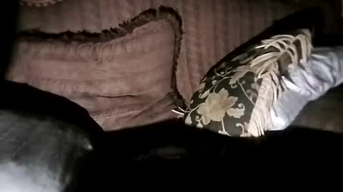 Snapshot of bxpapi69 chatting on 7, 11, 2025 bxpapi69 online show from 7, 11, 2025